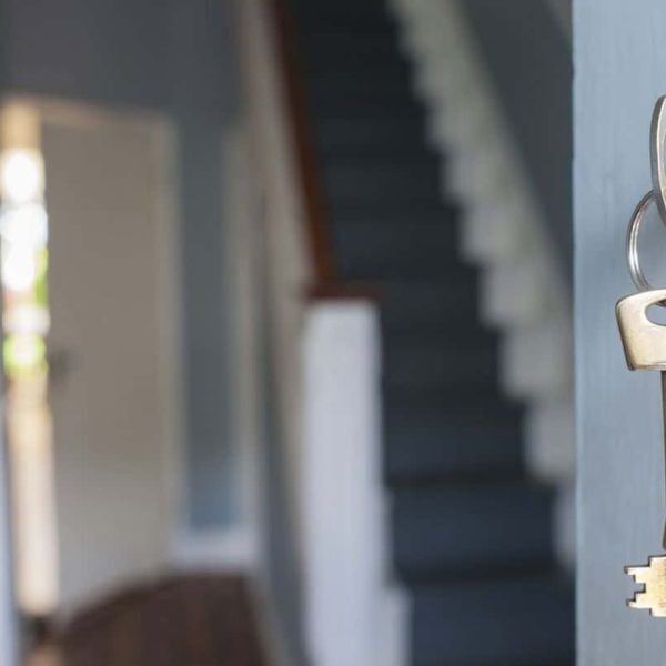 Zamki Yale foto blog